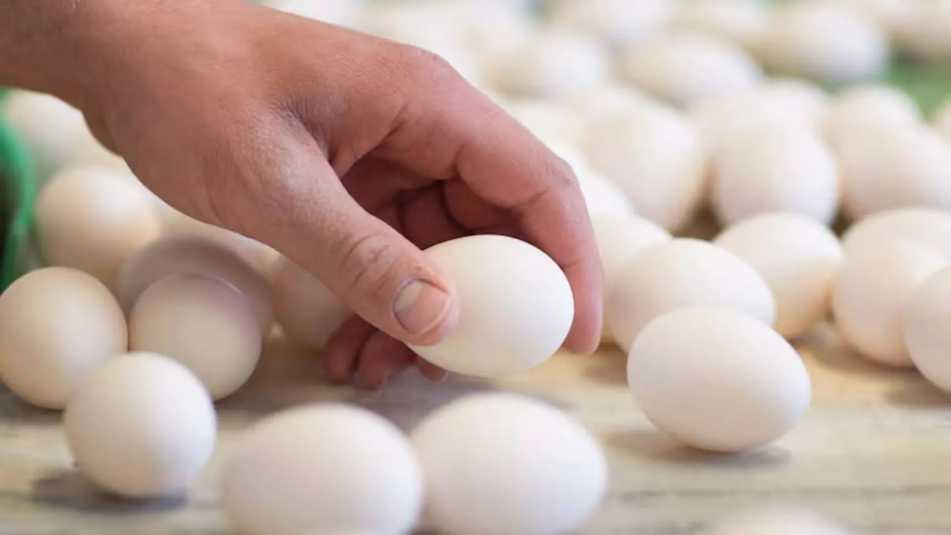 FDA Raises Costco Egg Recall To Highest Risk Level Amid Salmonella Contamination