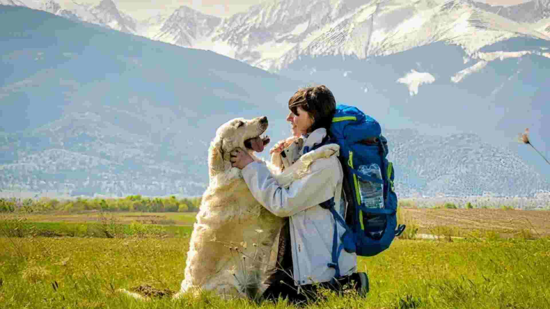 Humans and Dogs Have Been Connected for Over 12,000 Years | STUDY