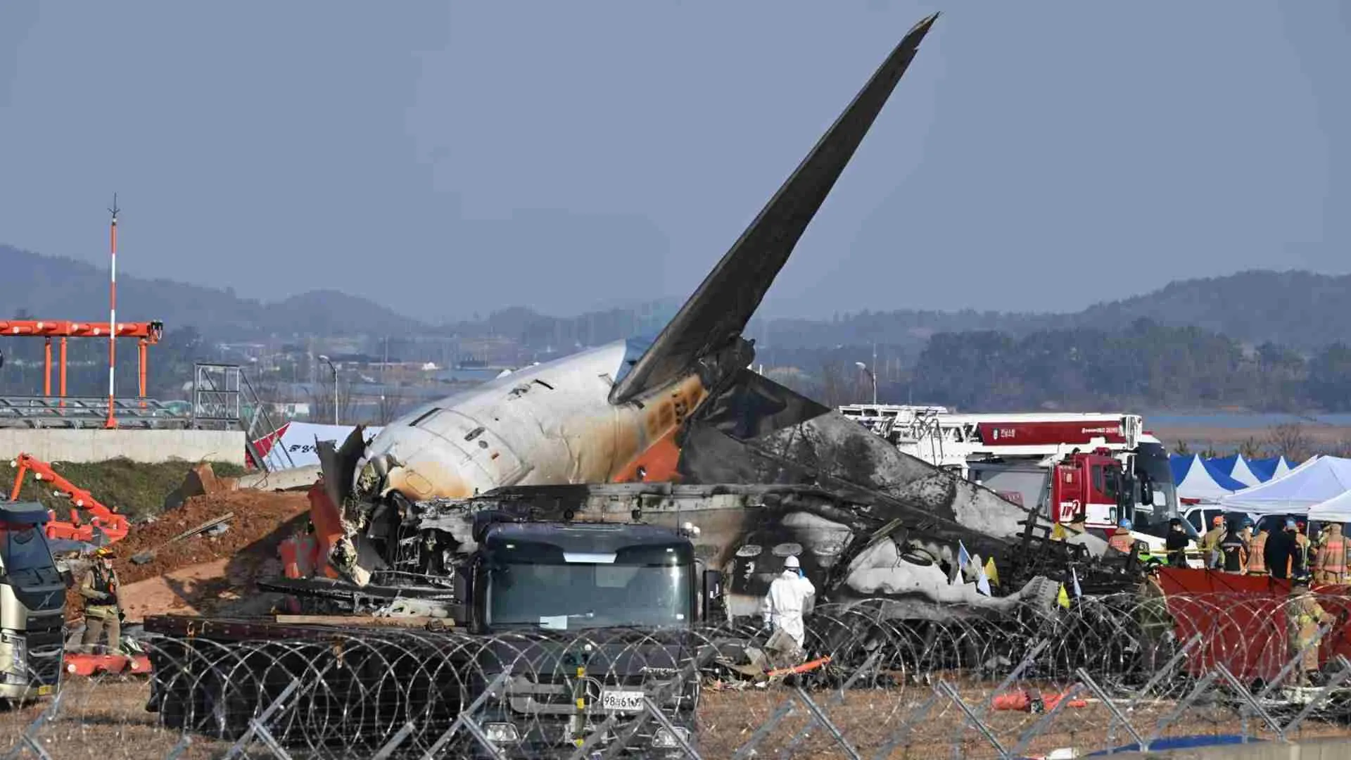 Bird Strike and Go-Around: What Happened Right Before Jeju Air Crash