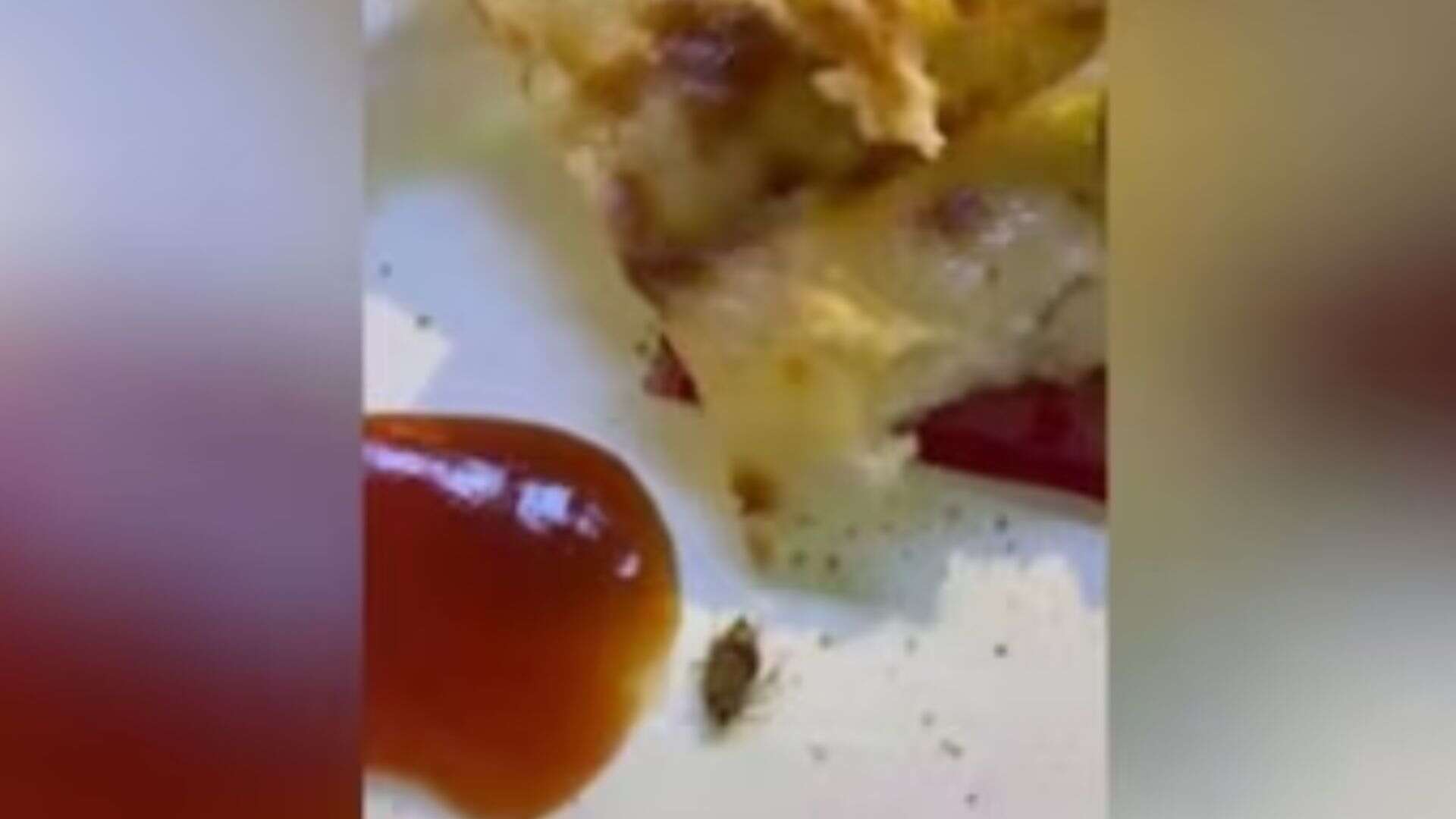 Man’s Jaipur Airport Experience Goes Viral: Rs. 200 Bread Pakora with Cockroach!!