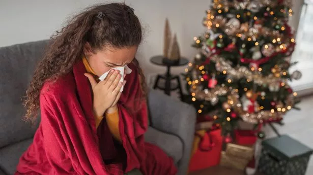 Holiday Sneezing? It Could Be Christmas Tree Syndrome!