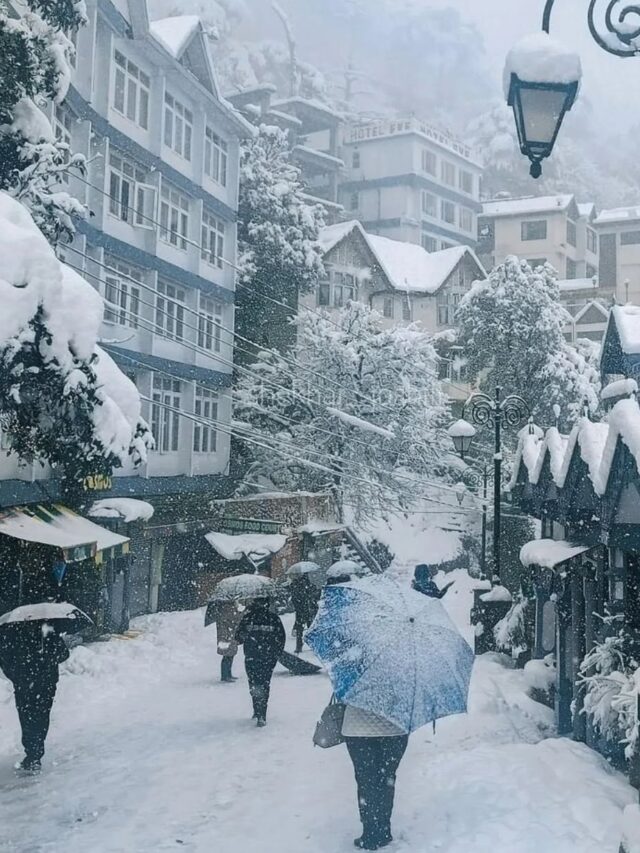 Shimla Turns Winter Wonderland After 1st Snowfall In Decades