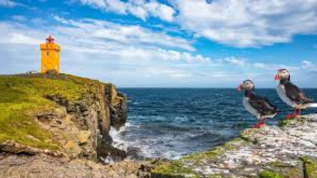 The Arctic Island Of Resilience: 20 People, 1 Million Birds, One Ecosystem