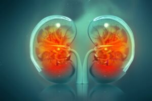 “Breakthrough Research Identifies Key Therapeutic Targets for Diabetic Kidney Disease”