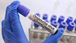 “Understanding Oropouche Virus Disease: A Growing Threat in the Americas”