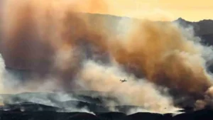 Dramatic Air Tankers Fight Los Angeles Wildfires From Above | WATCH