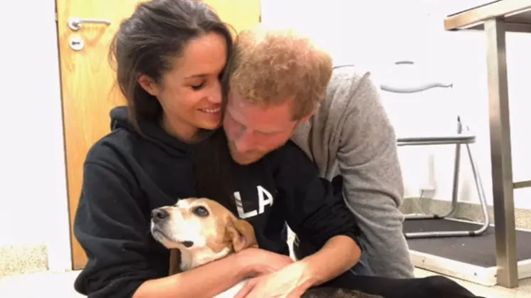 Meghan Markle Shares Heartfelt Tribute to Her Late Dog, Guy