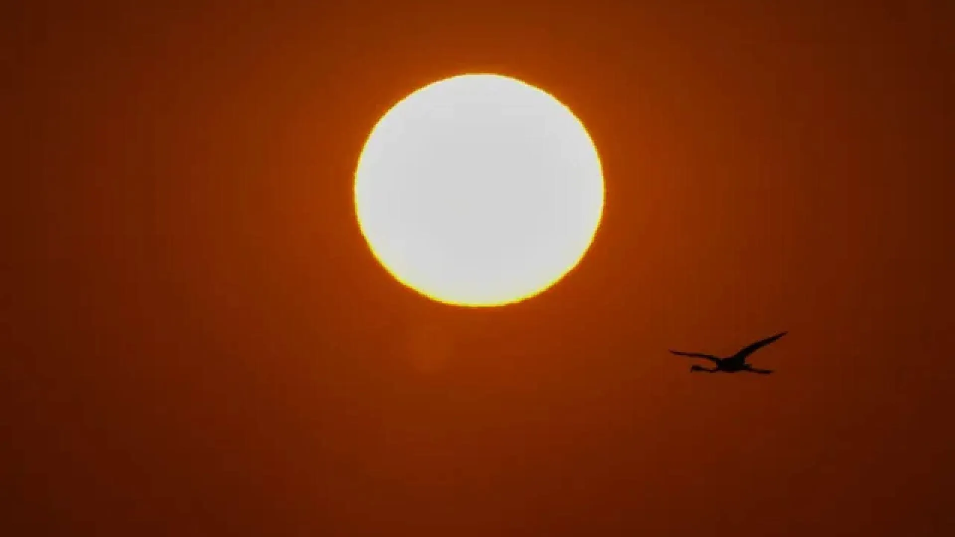 China’s Artificial Sun Sets World Record, Burns for Over 1000 Seconds