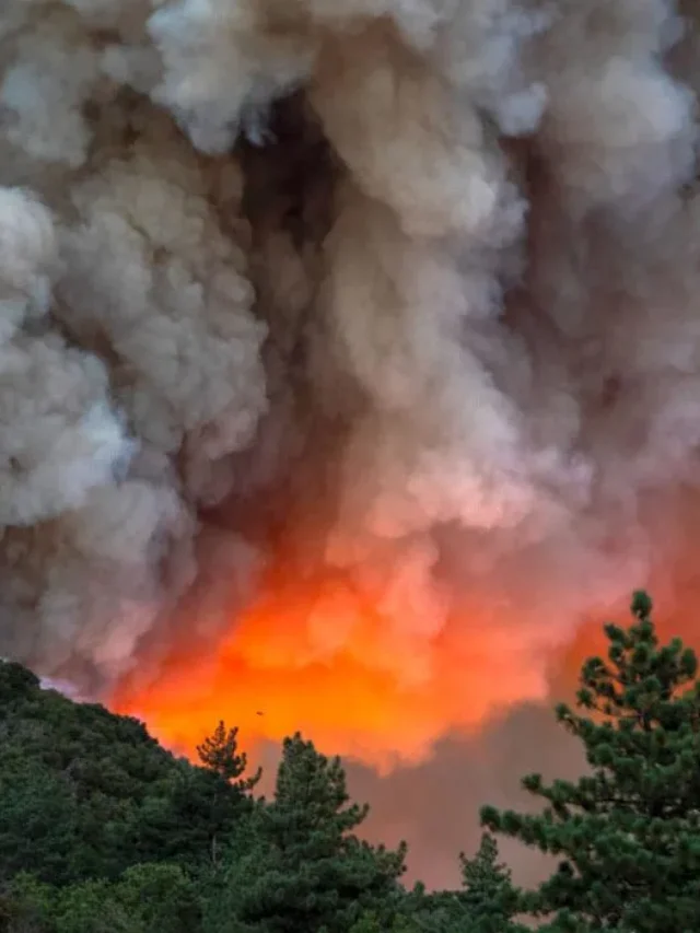 Breathing Danger: The Health Risks of Wildfire Smoke