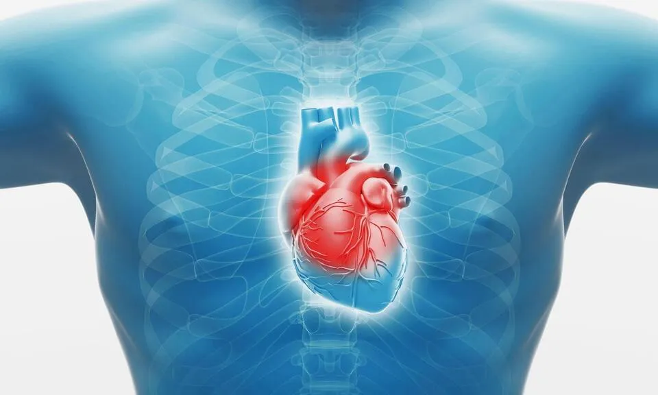 Revolutionary Heart Patch Could Transform Heart Failure Treatment