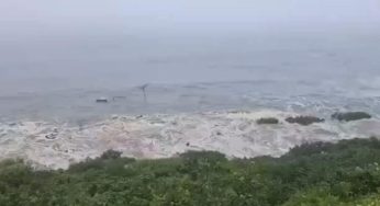 Severo-Kurilsk Recovers After Tsunami, No Casualties Reported