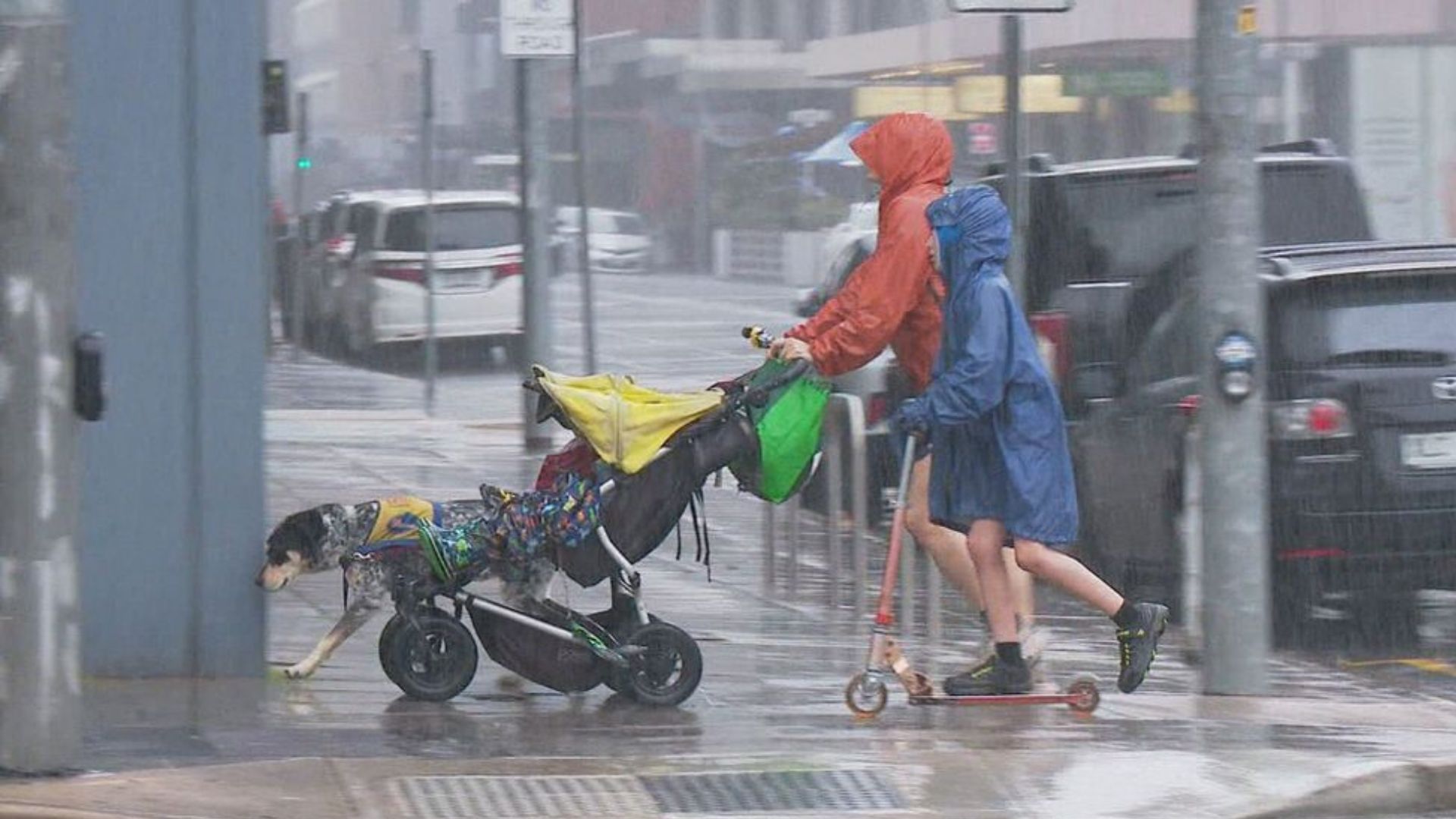 Cold Front Sparks Torrential Rains and Winds Across South-Eastern Australia