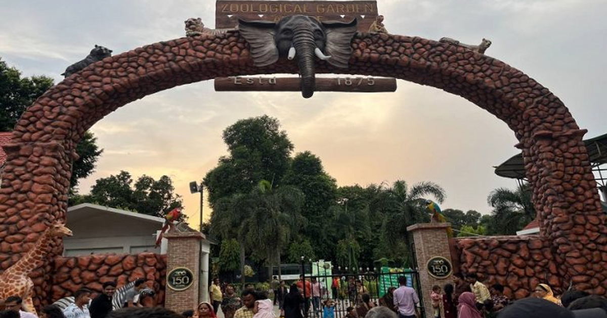 321 Animals Vanished, Files Missing, Land Sold—What’s Going On at Alipore Zoo?