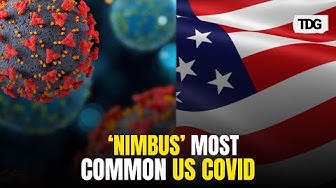 “Razor blade throat”: All about Nimbus, the dominant new Covid variant in the US | Health | USA