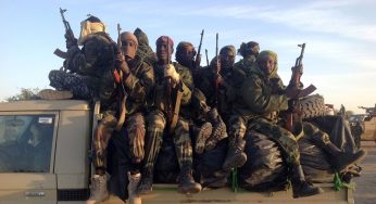 Nigeria Jails 44 Boko Haram Members for Terror Financing