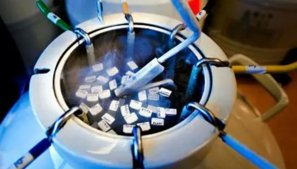 Mumbai Mother Seeks Late Son’s Frozen Sperm to Carry On Family Line