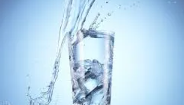 Harvard Doctor Reveals Simple Metabolism Hacks — Does Cold Water Really Burn Fat?