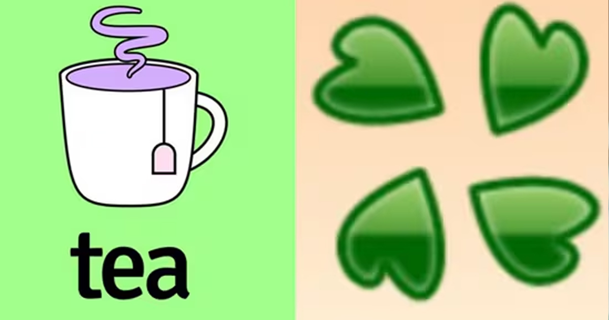 Tea App Map Goes Viral After 4chan Leak—Are Women Now Being Tracked?