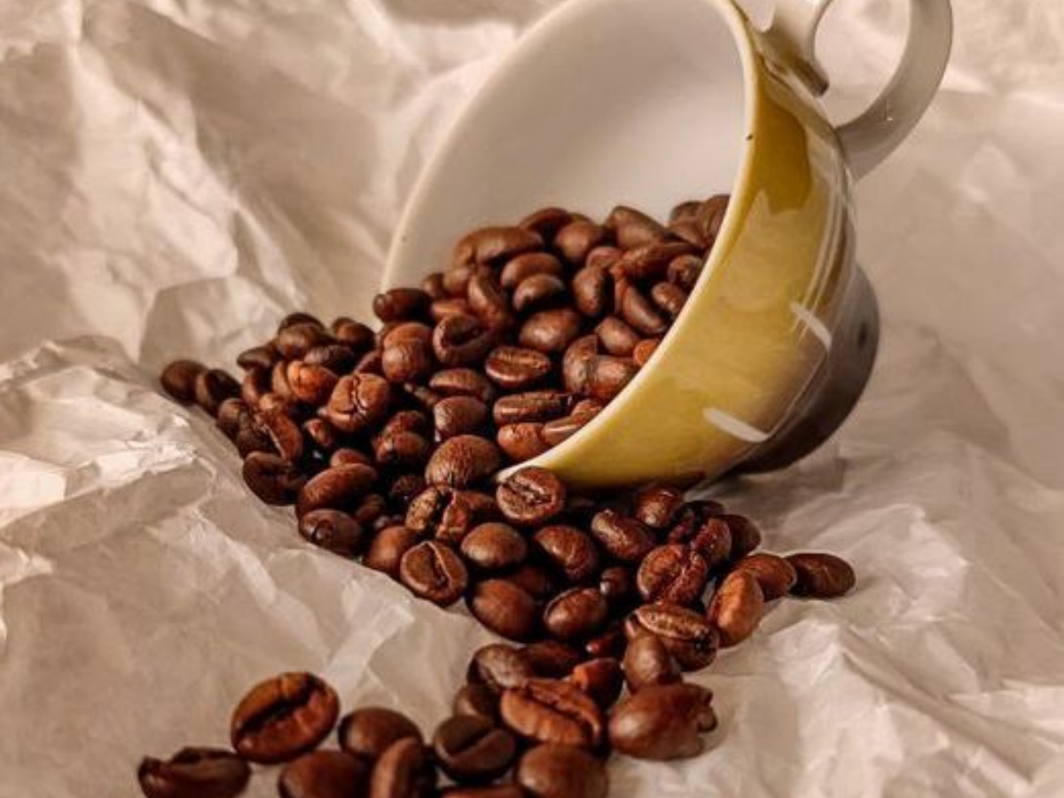 7 Burning Coffee Questions Finally Answered: Unlock the Secrets of Your Daily Brew - Gallery Image