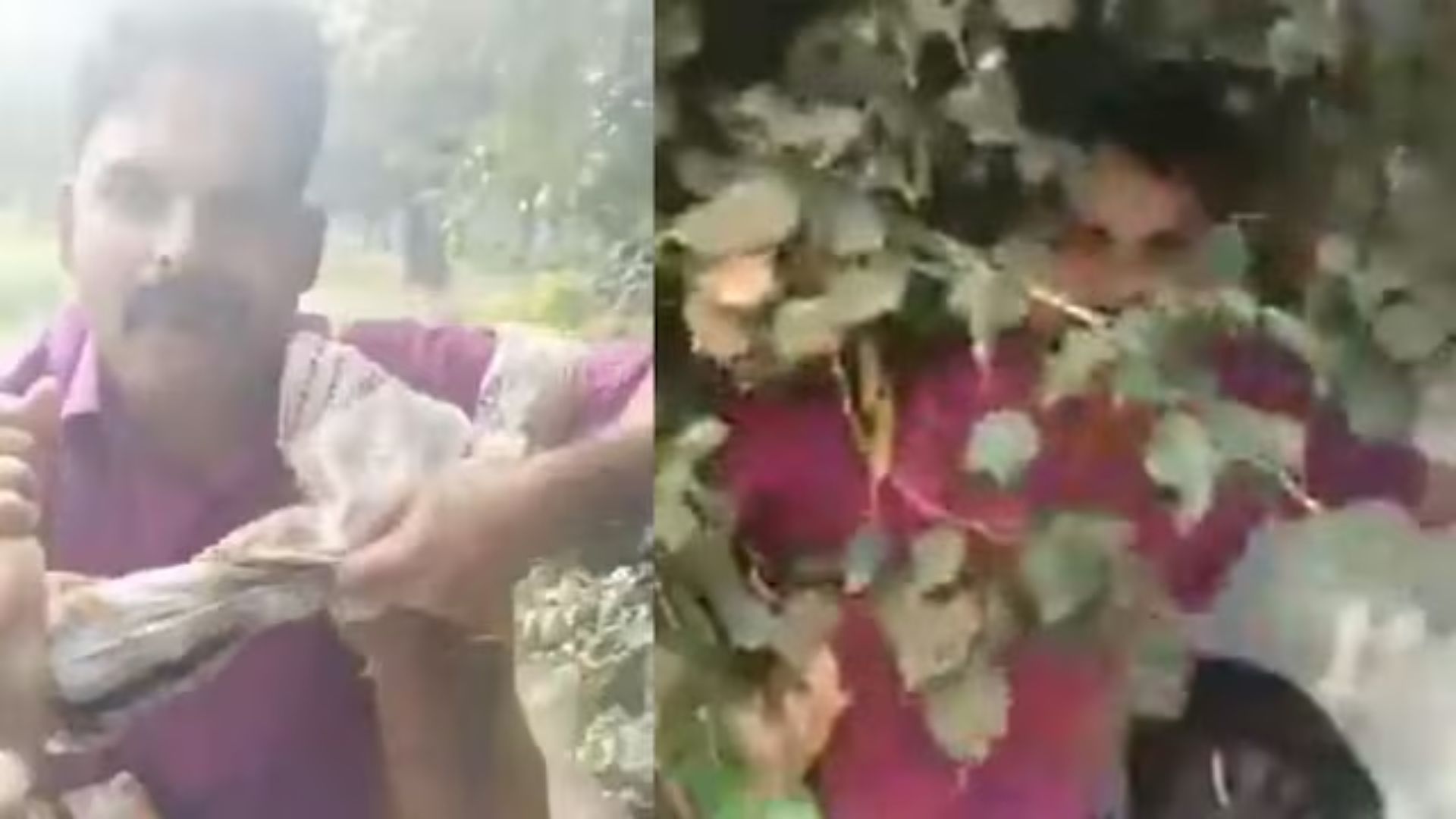 ‘Sorry Bhaiya’: UP Neta Caught Half-Naked with Married Woman at Cremation Ground | VIDEO