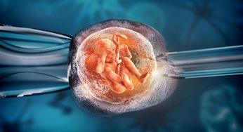 Diet and lifestyle factors in the success of IVF