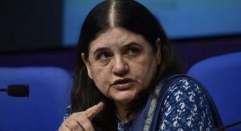 Maneka Gandhi: Removing Stray Dogs Could Invite Bigger Problems