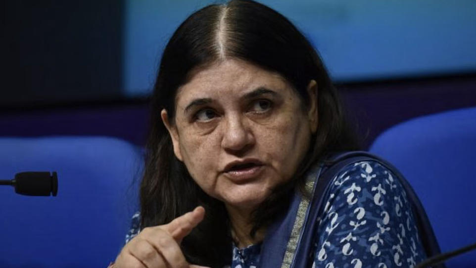 Maneka Gandhi: Removing Stray Dogs Could Invite Bigger Problems