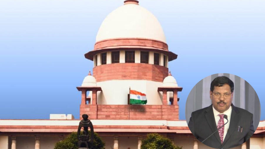 CJI Promises to Review Plea Against SC’s Stray Dog Removal Order