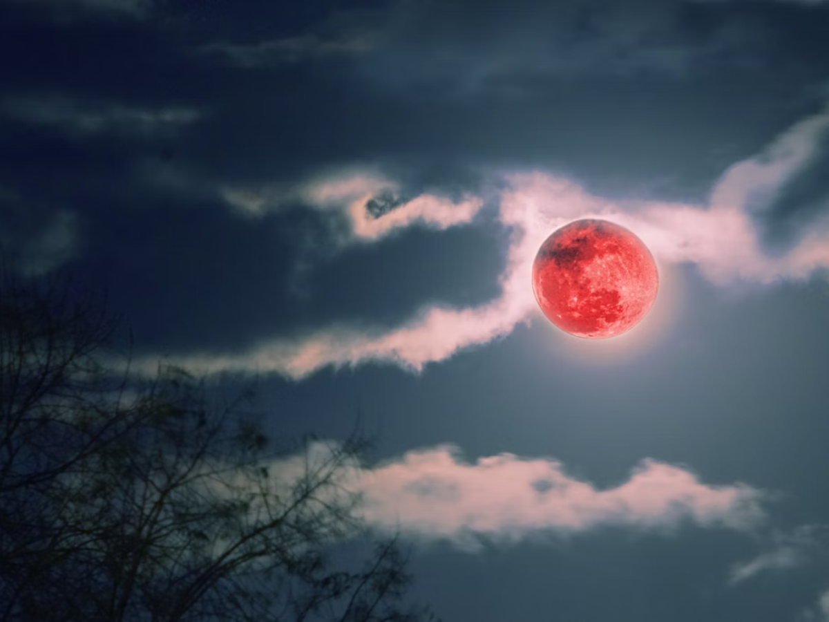 Blood Moon rising - Photo Gallery