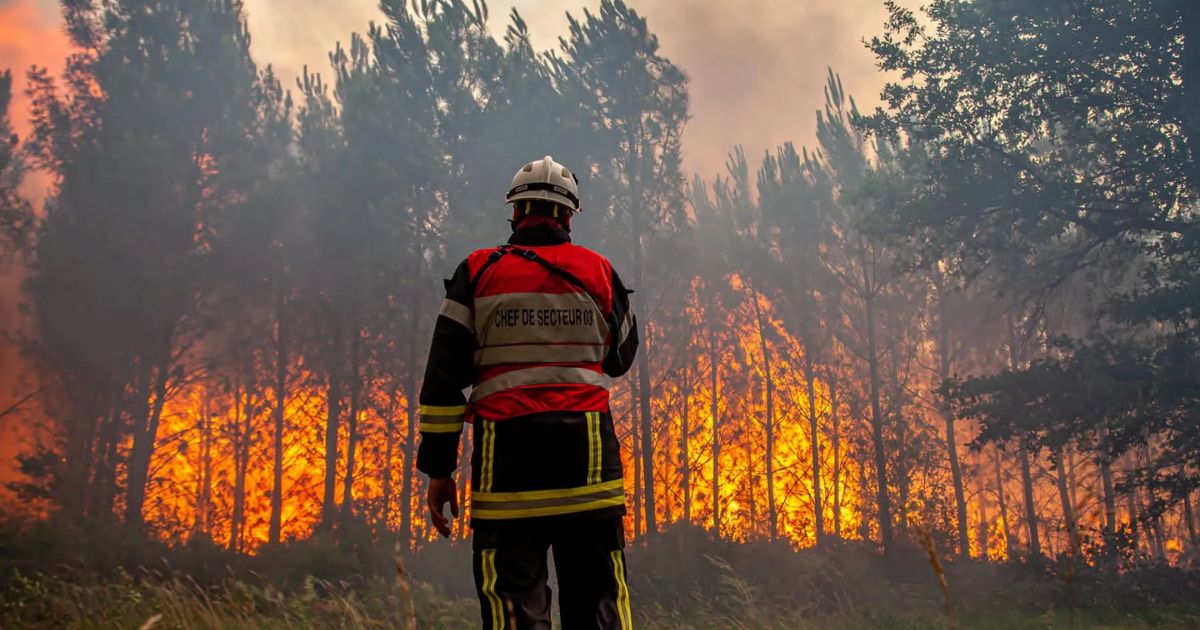 Europe Scorched: Wildfires Rage In Edinburgh And France Amid Relentless Heatwave