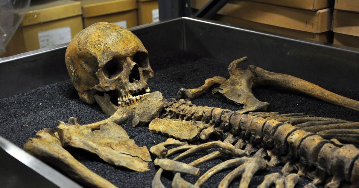 Inside Britain’s Macabre Market: How Human Bones & Skin Quietly Became Global Commodities