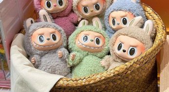 ₹26.23 Lakh Labubu Doll Theft Shakes California Store Amid Viral Toy Craze