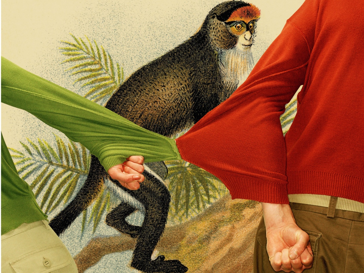 Gen Z Dating Trends: How Shrekking and Monkey-Barring Harm Relationships”