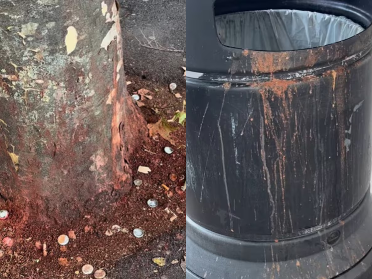 Paan Problem in Harrow: How Immigration Is Fuelling a Red Stain Crisis