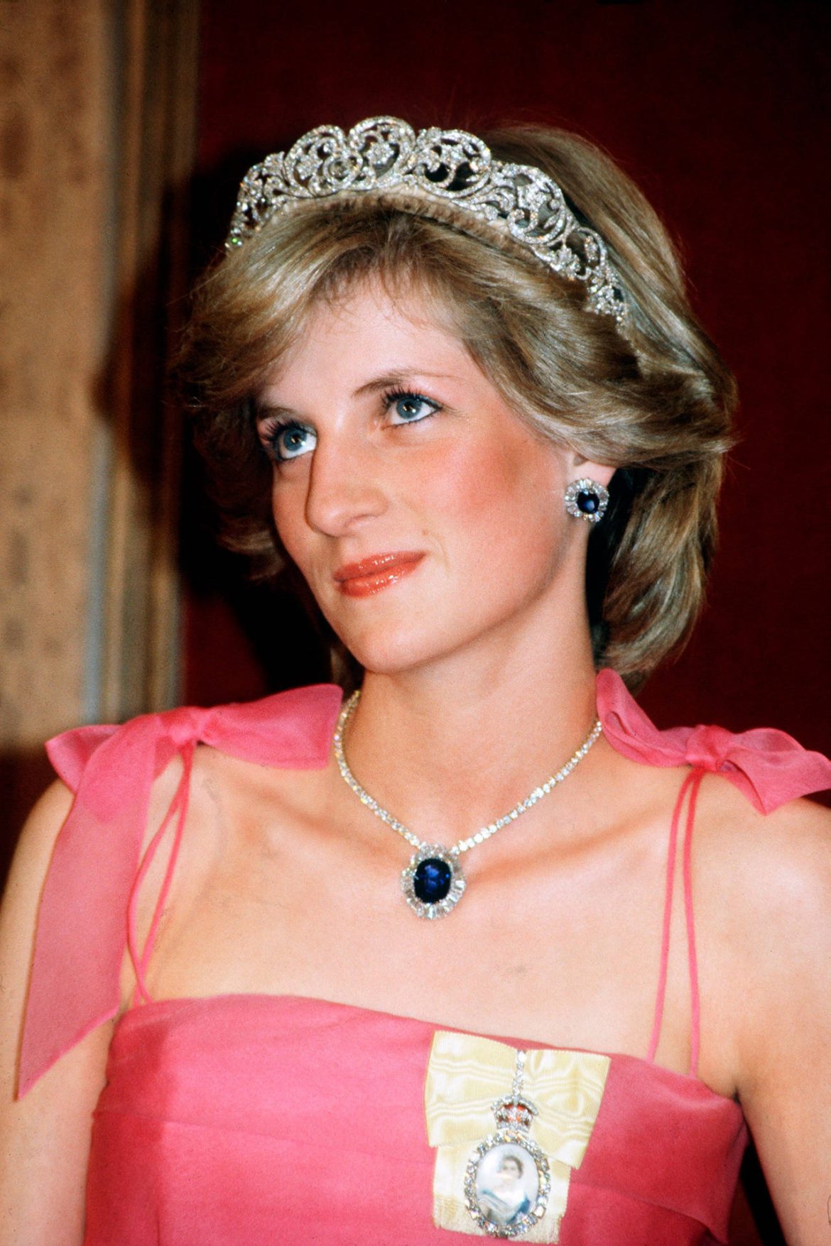 Was Princess Diana Murdered?