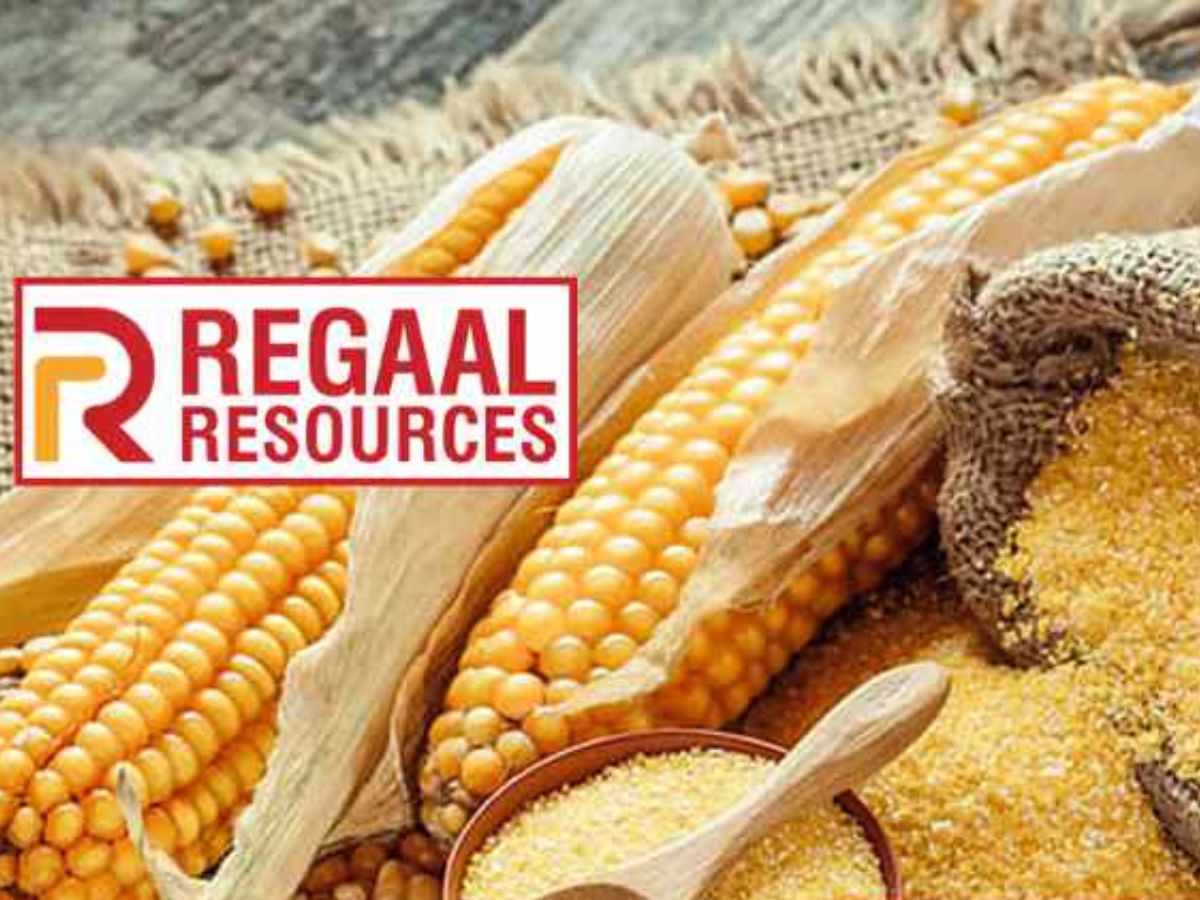 Regaal IPO : Growth, Revenue, GMP and Debt Concern