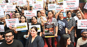 SC Redefines Stray Dog Policy: From Shelters to Sterilisation and Safe Feeding Zones