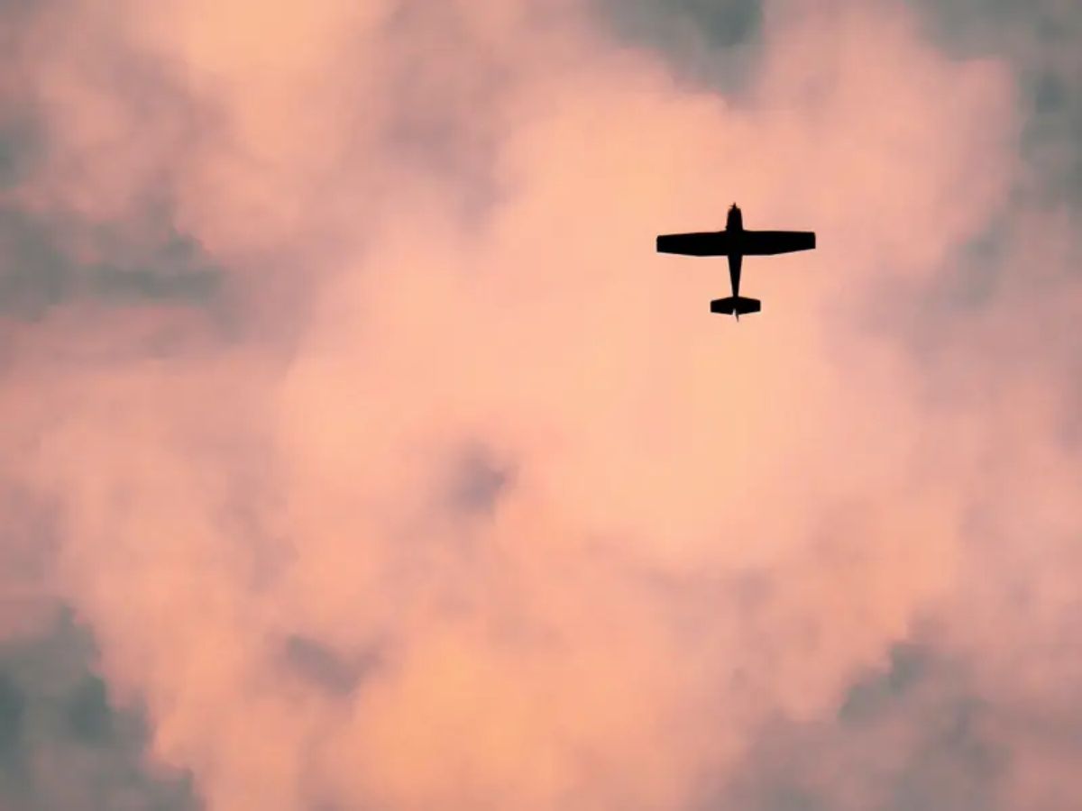 Tasmania Flight Carrying 2 People and a Dog Missing for 22 Days