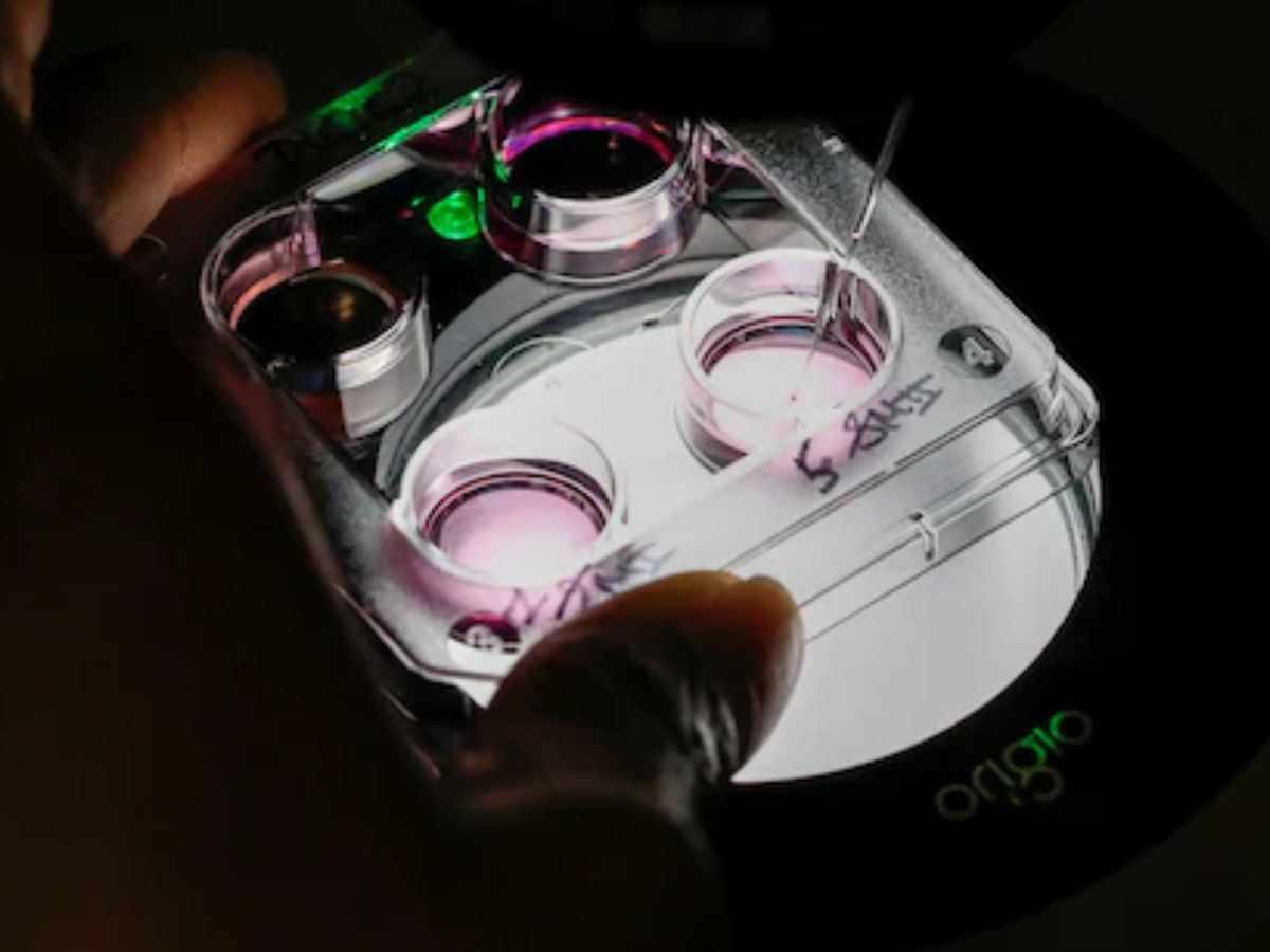 Telangana Surrogacy Scam: 80 Victims, Baby Trafficking, and Fake Medical Licenses Exposed