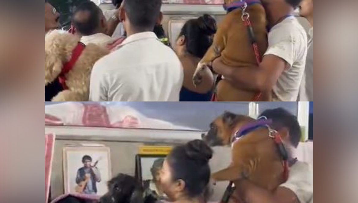 When Zubeen Garg's canine companions joined in for the last goodbye, Assam CM shares emotional moment