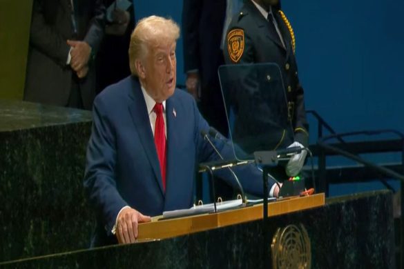 "We have to stop the war in Gaza immediately": Trump at UNGA