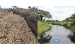 Rivers Rise Again: The Art of Living's Journey of Rejuvenation