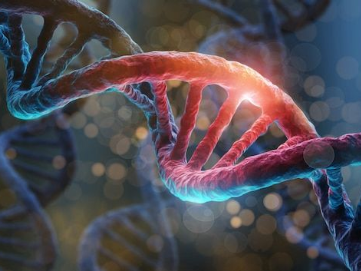 How DNA 3D Printing Becomes the Blueprint for the Future of Nanotechnology