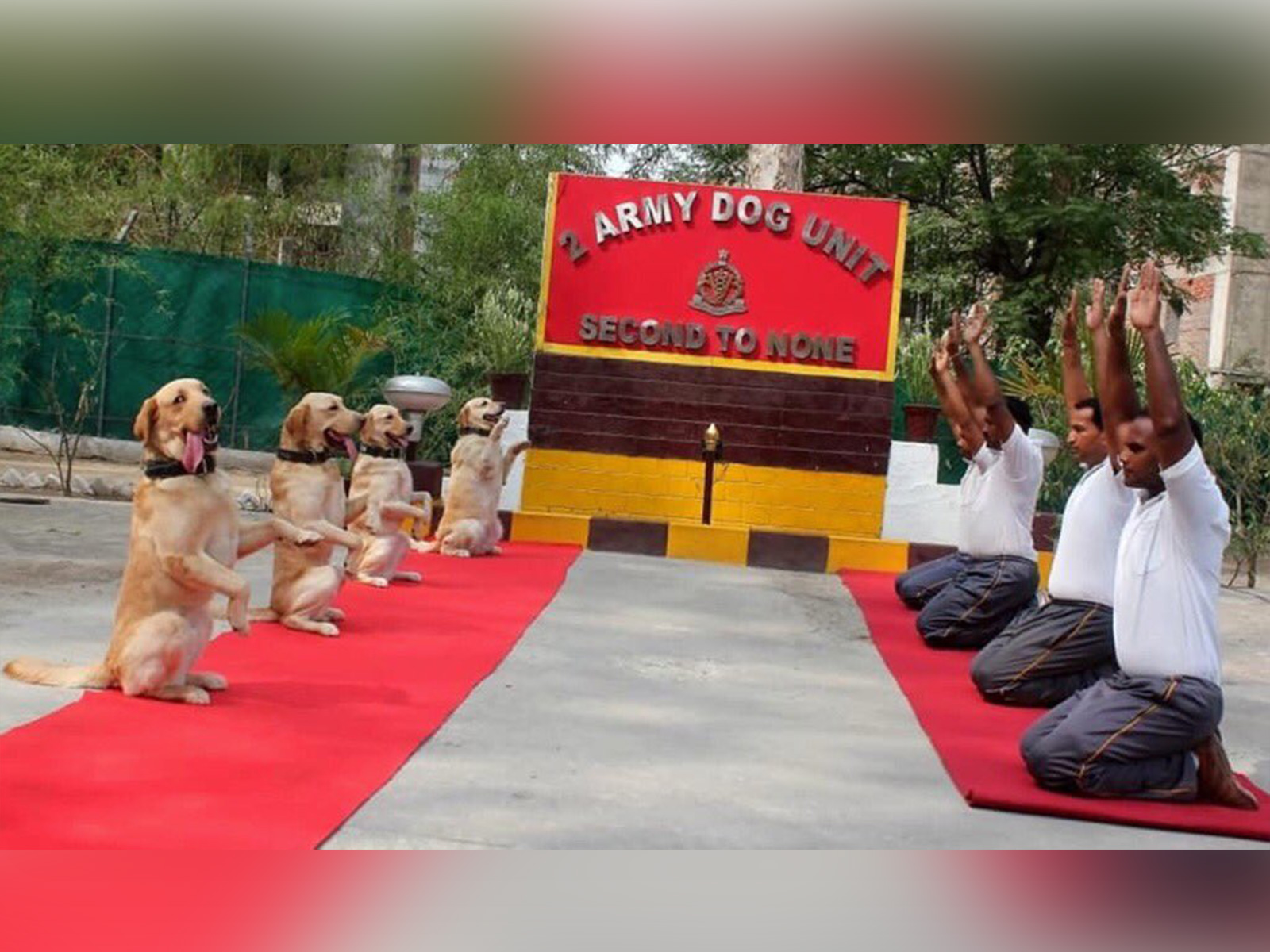 Delhi Police unveils official emblem of elite canine squad