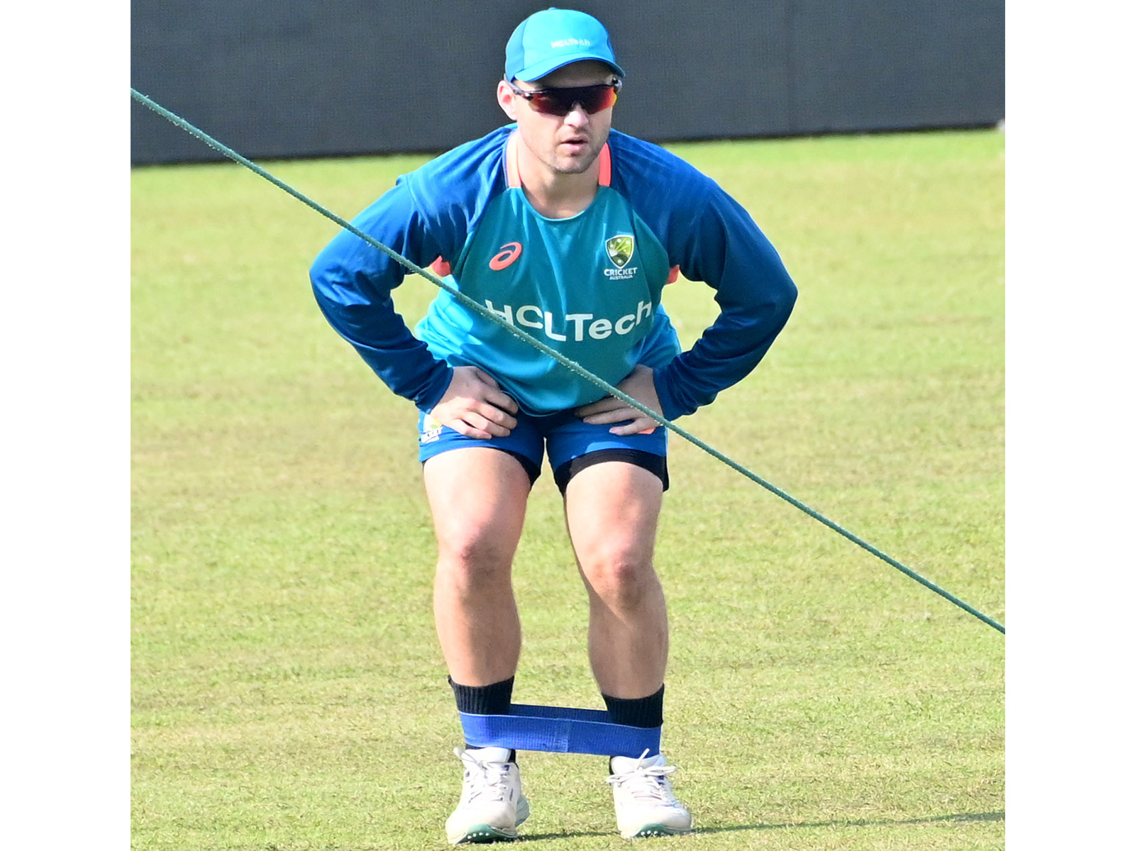 Josh Inglis ruled out of New Zealand T20I series, Alex Carey named replacement