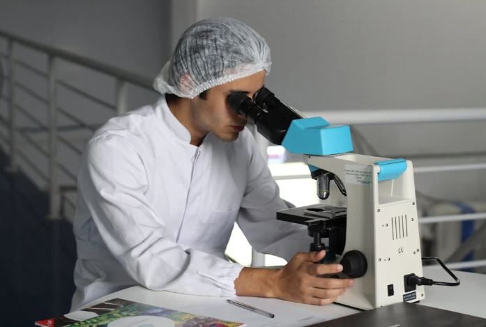 Representative Image (Image source: Pexels) Representative Image (Image source: Pexels)