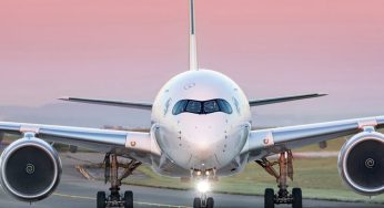 Why Are Most Planes Painted White? The Science Behind the Colour