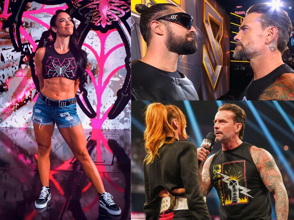 AJ Lee WWE Return Shakes Up CM Punk vs Seth Rollins Feud With Becky Lynch In The Mix