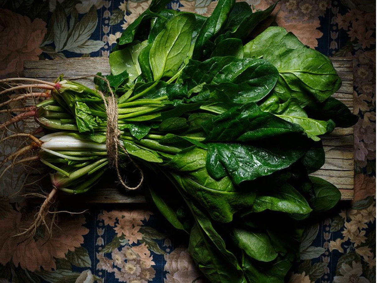 SPINACH - Photo Gallery