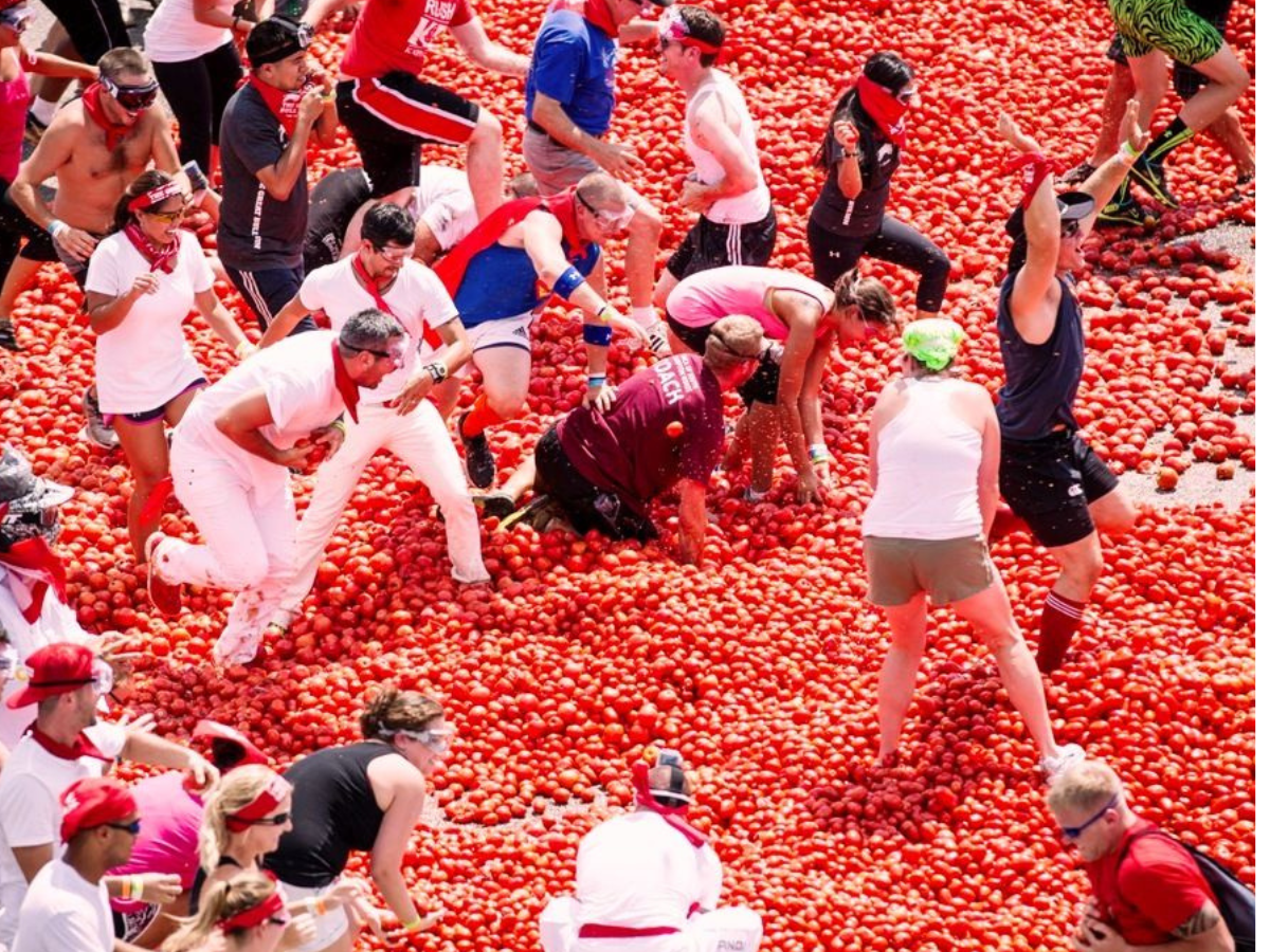 La Tomatina – Spain - Photo Gallery